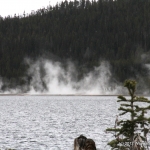 The hot Springs sure were tempting