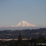IMG_0608