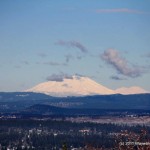 IMG_0701