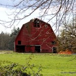 IMG_0750