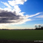 IMG_0770