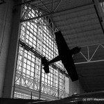 IMG_1009