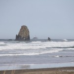 IMG_1018