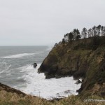 IMG_1039