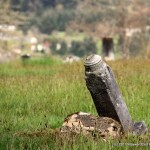 IMG_1639
