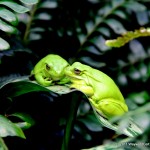IMG_1817