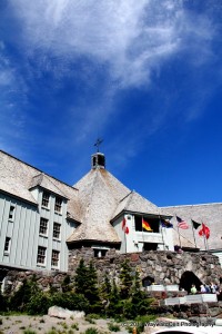 IMG_2554