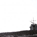 IMG_2563