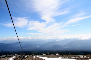 IMG_2636
