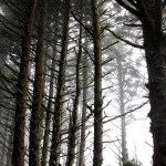 IMG_2655