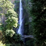 IMG_2733