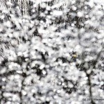 IMG_3570