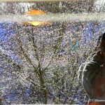 Saturated and reflected me