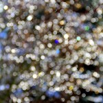 IMG_3600