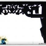 photo (11)
