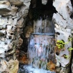 photo (12)