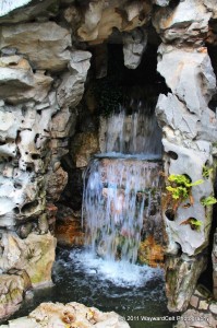 photo (12)