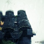 photo (17)