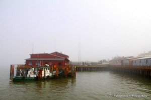 IMG_1022
