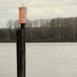 IMG_1346