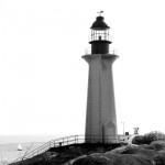 IMG_2028_bw