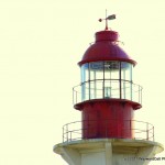 IMG_2045