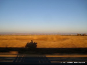 The Rider